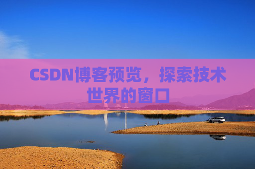 CSDN博客预览,探索技术世界的窗口